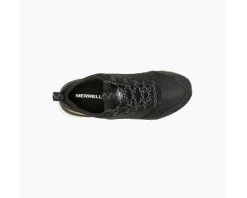 Alpine 83 Sneaker Recraft