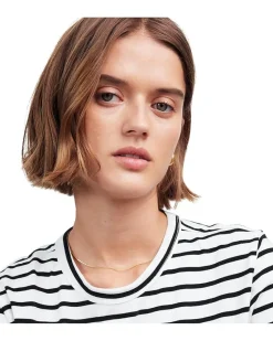Cotton Perfect Crewneck Tee Stripe