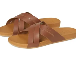 Cushion Spring Bloom