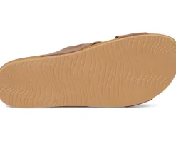 Cushion Spring Bloom