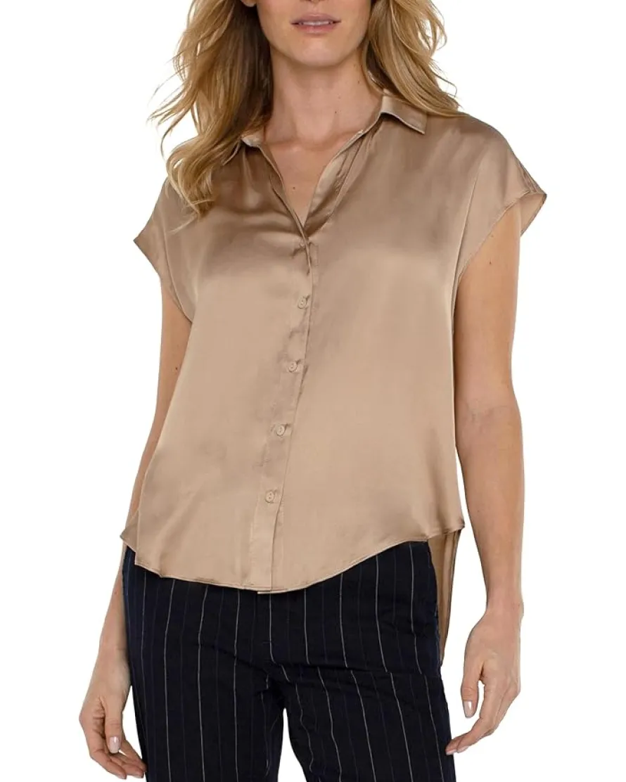 Dolman Sleeve Collared Button Front Satin Blouse