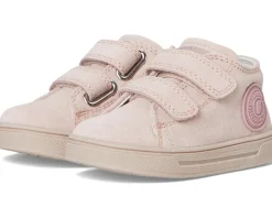 Falcotto Michael 3. (Toodler)