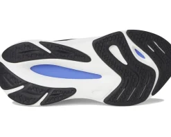 FuelCell Walker Elite