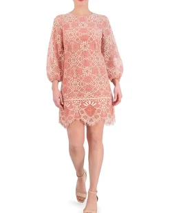 Lace Shift Dress