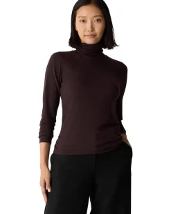 Sheer Knit Turtle Neck Top