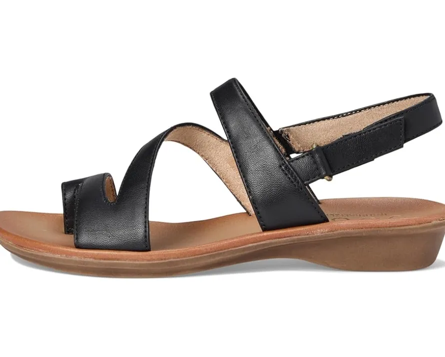 SOUL Naturalizer - Shakina