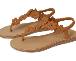 Summer Cove - Beach Bloom