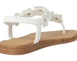 Summer Cove - Beach Bloom