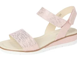 Women's David Tate Scala