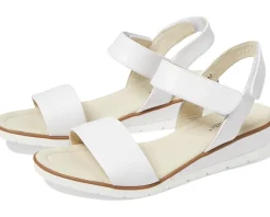 Women's David Tate Scala