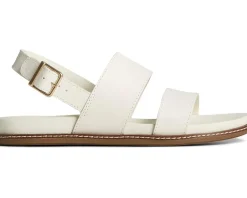 Women's Sperry Waveside Plushwave Backstrap