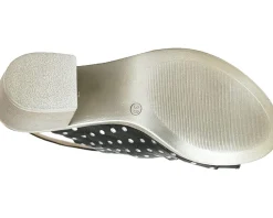 Women's Unity in Diversity Ficus