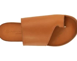 Women's Unity in Diversity Diona 29